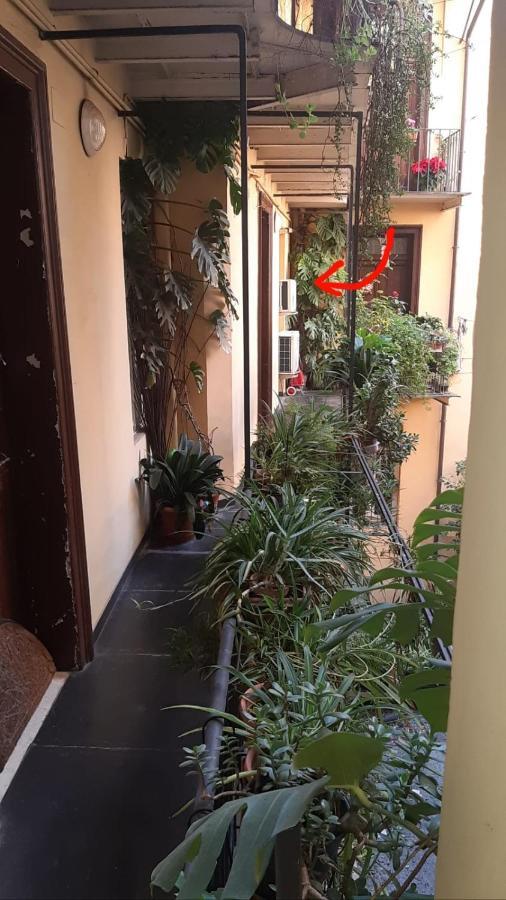 Charme De Rome Vatican Apartment Exterior photo
